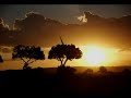 Safari Holdays Online