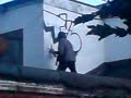TONKONE AOW GRAFF TONKONE AOW GRAFF