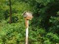 Country Home For Sale WV