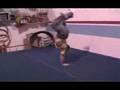 Bujin Video of Martial Arts(Ninja)