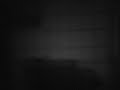 The Scariest Ghost Ever! II