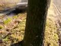 Afscheid auto 3