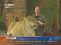 Liger on the Today Show with Lauer