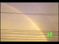 やまと虹一