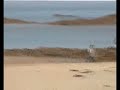 Khao Lak Tsunami