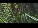 Garden VX2100