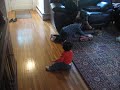 Anaya crawling and standing 1 Anaya crawling and standing 1