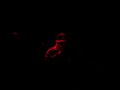 teledysk, klip, Jedi Mind Tricks,- Animal Rap