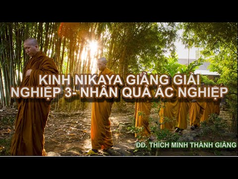 Kinh NIKAYA Giảng Giải -  Nghiệp 3 -  Nhân Quả Ác Nghiệp