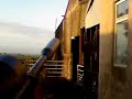 Air Arms s200 Feral Pigeon Air Arms s200 Feral Pigeon
