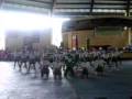 videos de st. john bosco pasig