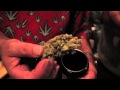 CANNABIS CUP 2012 (AMSTERDAM) W STYLES P, N.O.R.E., GHOSTFACE KILLA, AND SCRAM JONES