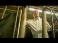 Danny Van Der Kracht Ik Heb Een Koe Official Music Video and Lyrics