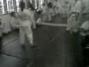 karate kid uli