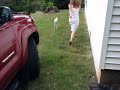 Dominick the Two-legged Dog