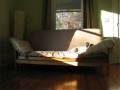 videos de Maisie slept all afternoon