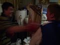 Click here to watch this video brave lil boxer 2