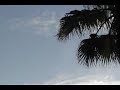 Is this line in the sky, natural or unnatural?