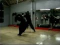 Ijo Ija Kung Fu - Sifu Earl White Kicking
