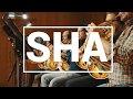 Making Of BGM For URI - The Surgical Strike | Shas