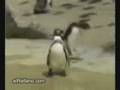 videos de FRIDAY VS MONDAY