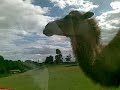 west midlands safari