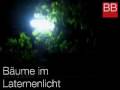 Bäume im Laternenlicht (Kostenloser Bildschirmschoner)