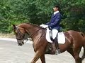 Dressage M-class in Neu-Isenburg - 2 Dressage M-class in Neu-Isenburg - 2