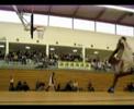 Show dunk s1s1f all star game reims 2007