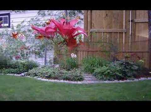 My Garden 2006