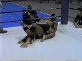 Dâmokles Lira vs James 