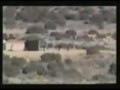 star wars in iraq