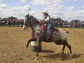 western-riding.html