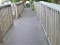真夏の江ノ島 Enoshima