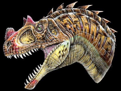 Ceratosaurus