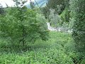 Bosse goes Zipline in åre