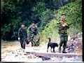 ????? Hunting wild-pig (Boar) team Hong Kong ????? Hunting wild-pig (Boar) team Hong Kong