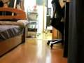 Dumme Katze
