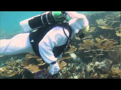 Florida Keys Annual Underwater Easter Egg Hunt