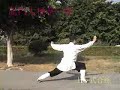 龍門太極拳 Longmen / Dragon Gate Taijiquan