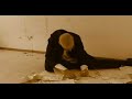 Ovro : Equation Impossible