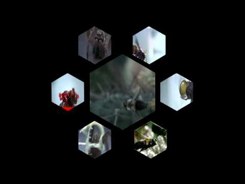 E.Super – “Side A” video