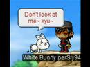 The Bunny story