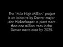 DNCC Service Days: Tree Planting