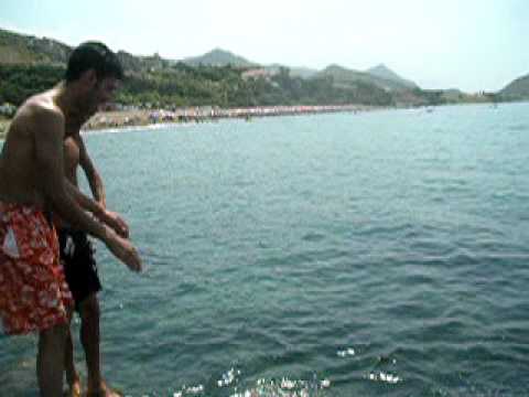 zidani brahim djidjel BBA