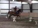 Buddy Jumping Buddy Jumping