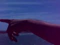 gustavo gelpi- viento en el indio