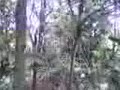 moms-callin-parody-myspacecomrstboys.html