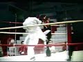 box frances savate tarija