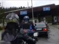 bavarian forest